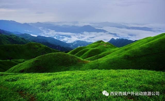 沪江开心词场